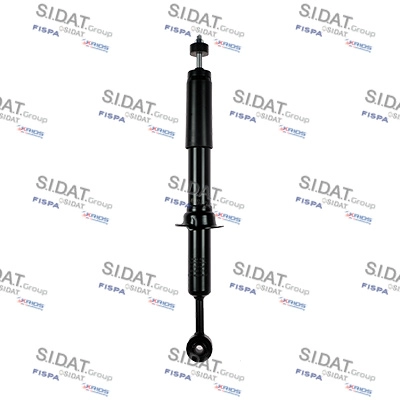 F210G1066
