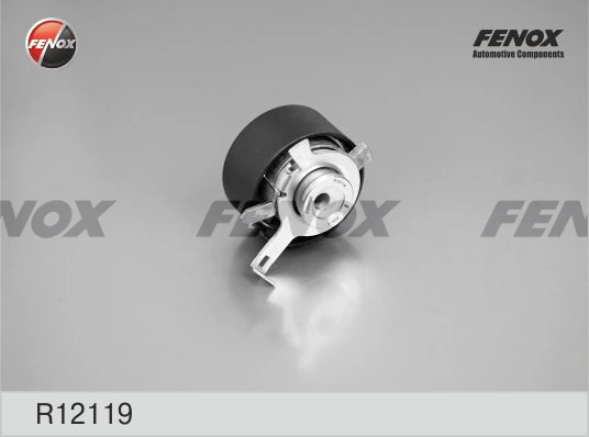 R12119