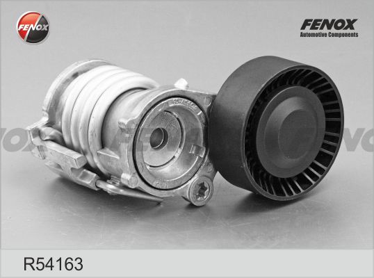 R54163