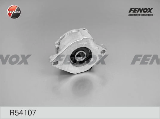 R54107