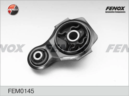 FEM0145