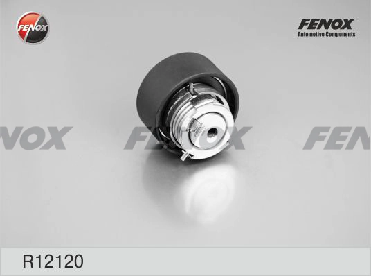 R12120