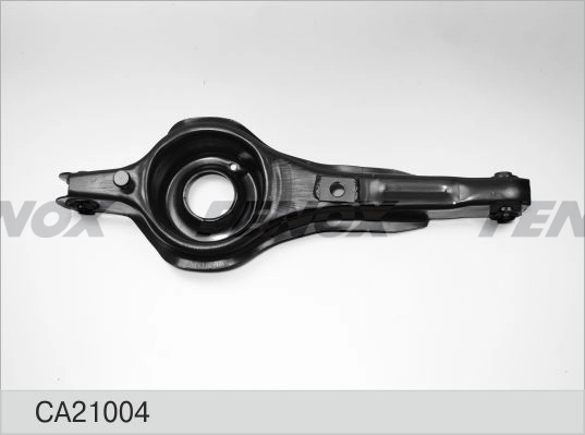 CA21004