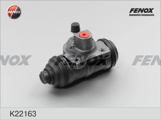 K22163