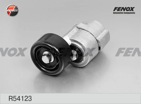 R54123