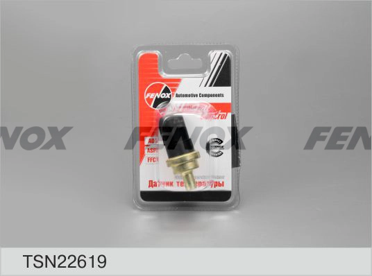 TSN22619