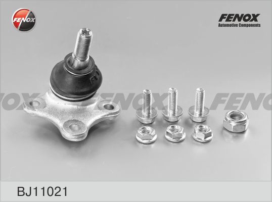 BJ11021