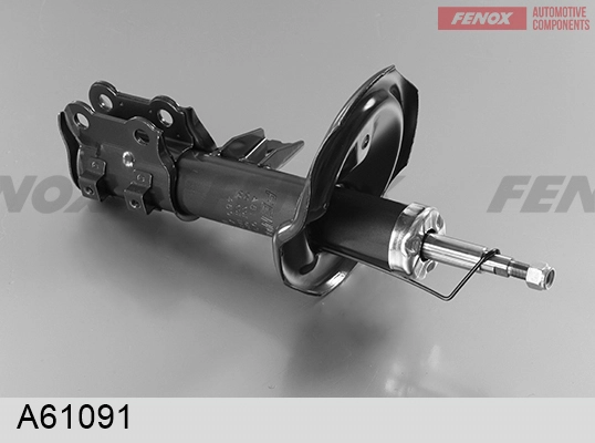 A61091