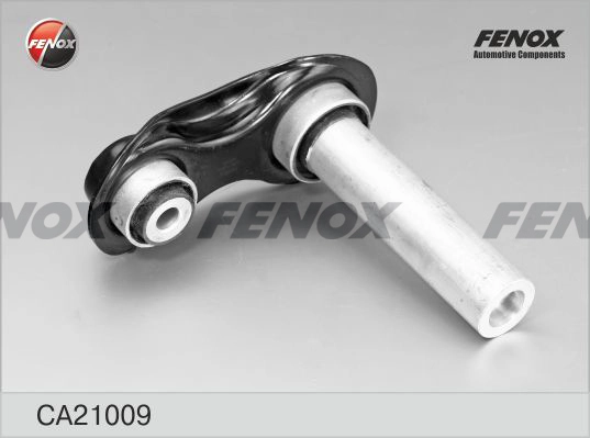 CA21009