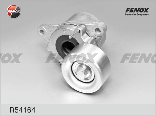 R54164