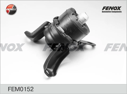 FEM0152