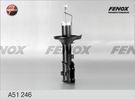 A51246