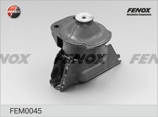 FEM0045