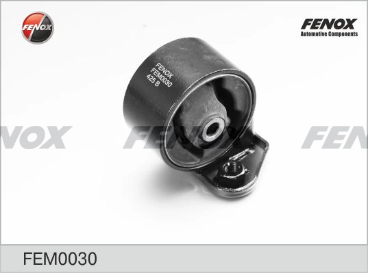 FEM0030