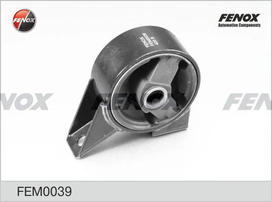 FEM0039