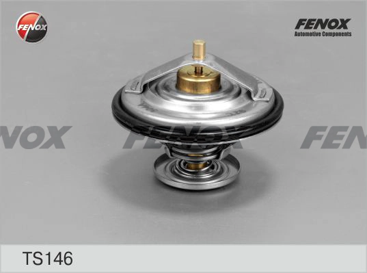 TS146
