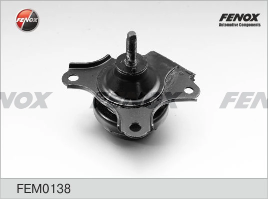 FEM0138