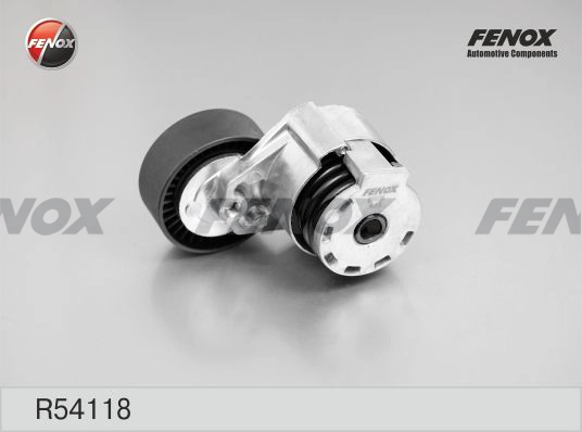 R54118