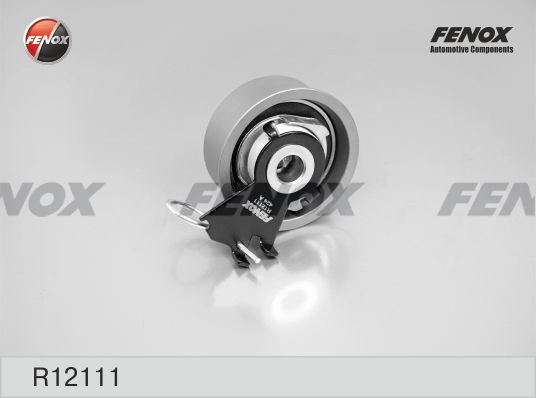 R12111