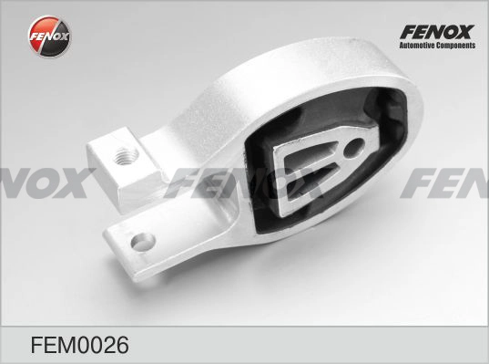 FEM0026
