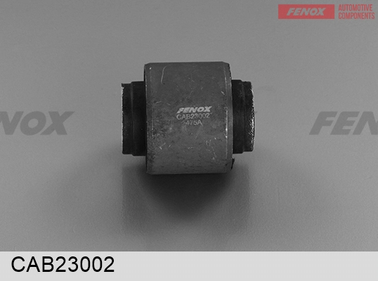 CAB23002