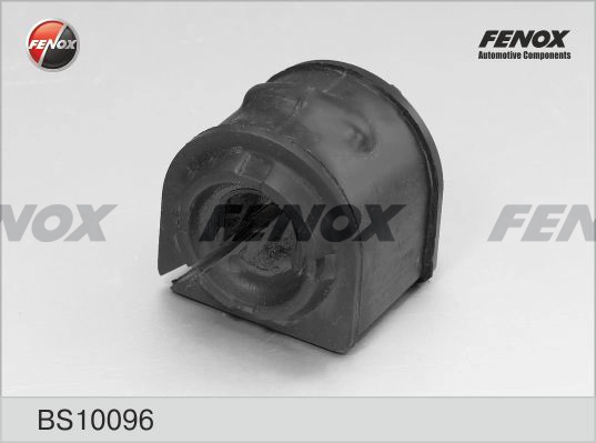 BS10096