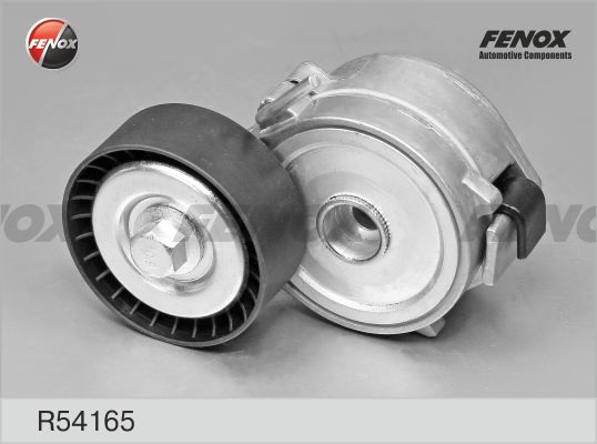 R54165