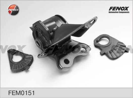 FEM0151