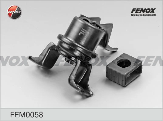 FEM0058