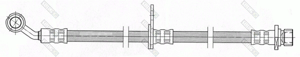 9004462
