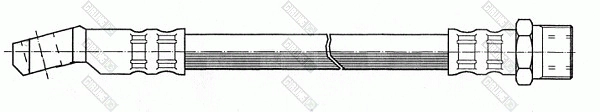 9004304