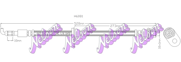 H6081