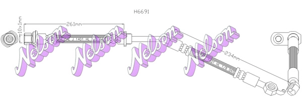 H6691