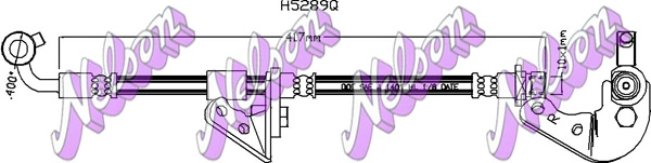 H5289Q