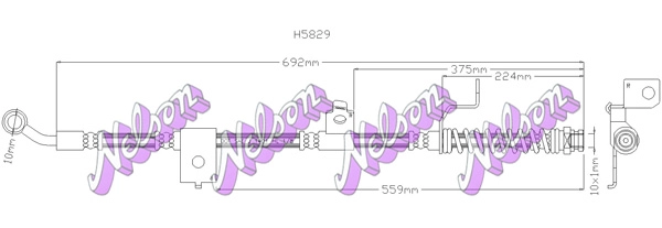 H5829