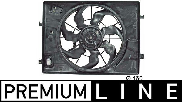 CFF 255 000P