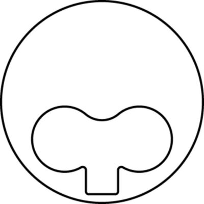 99437232