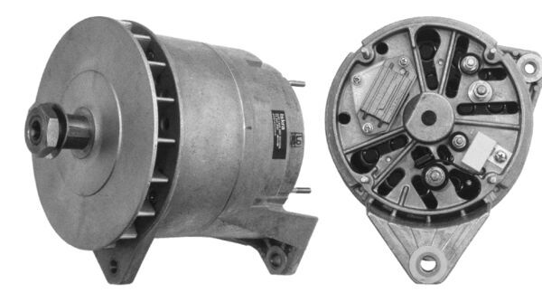 MG 247
