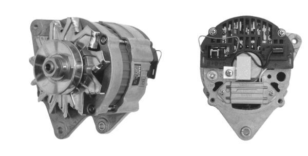 MG 348