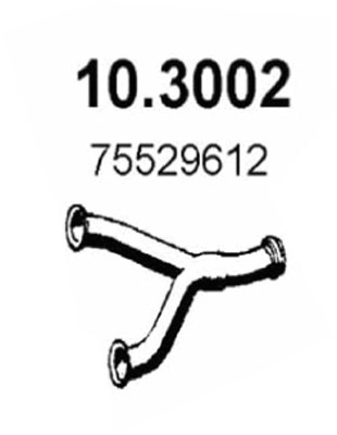 10.3002