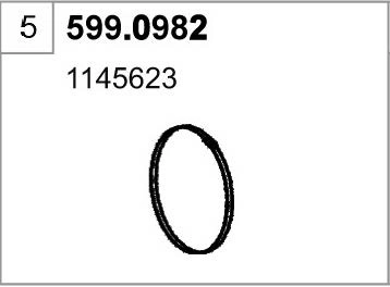 599.0982