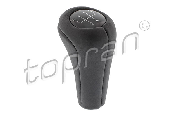 504 146
