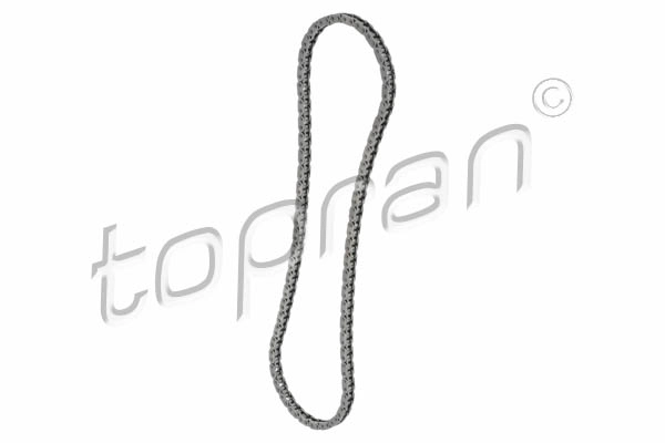 305018