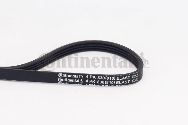 4PK830 ELAST