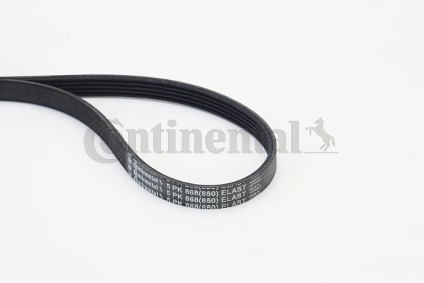 5PK868 ELAST