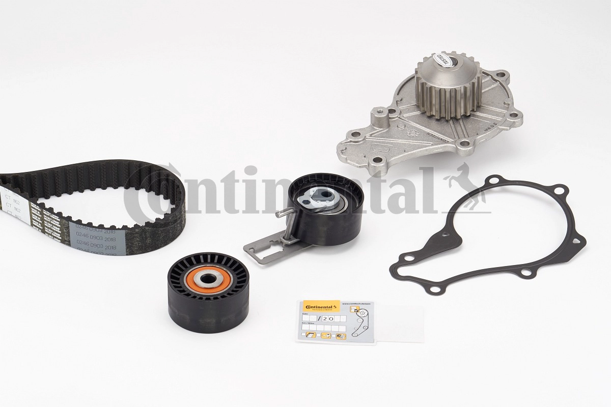 CT1162WP4