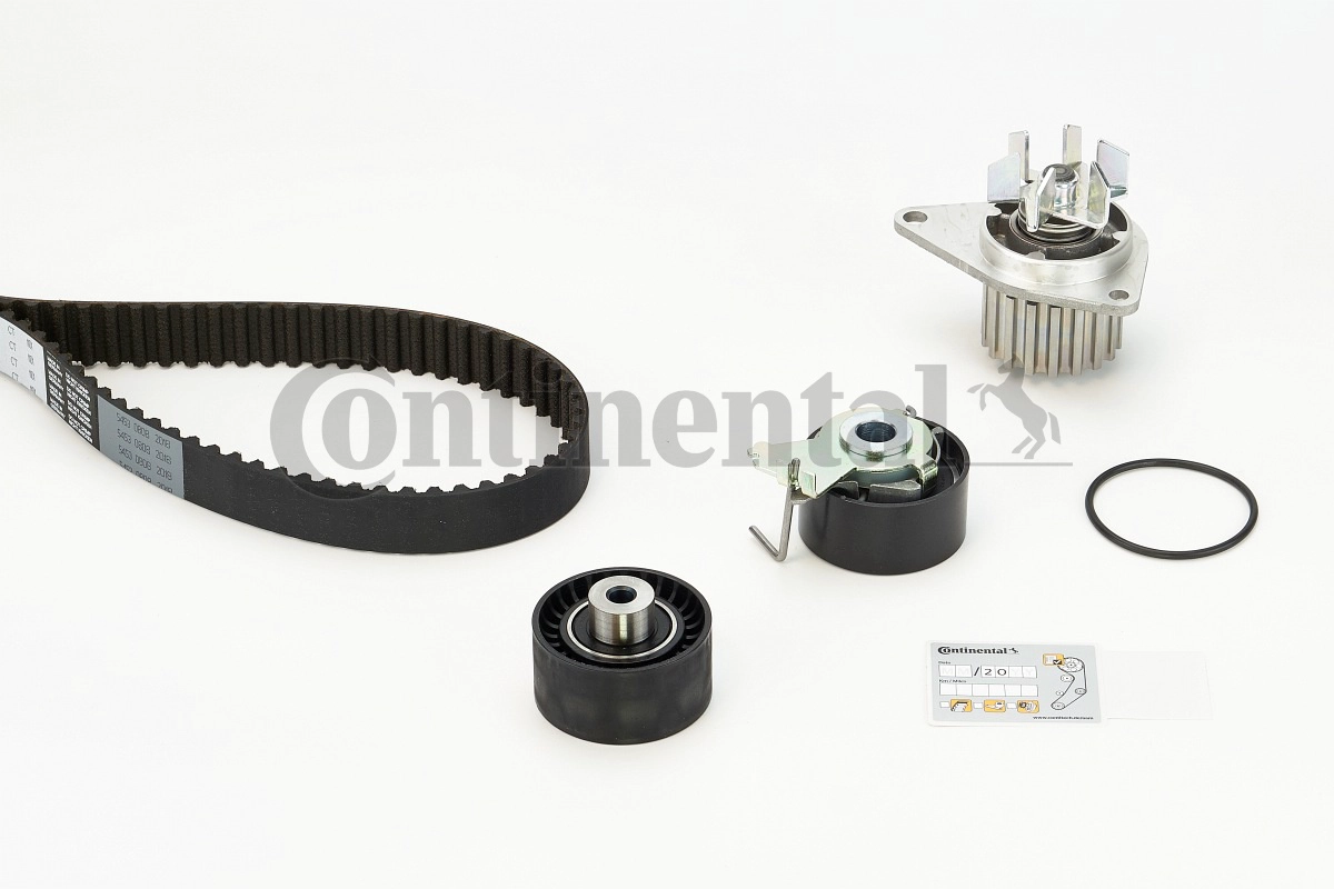 CT1101WP1