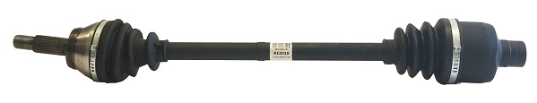 RE3019
