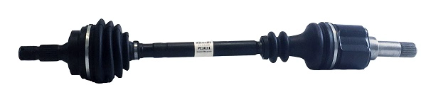 PE3031