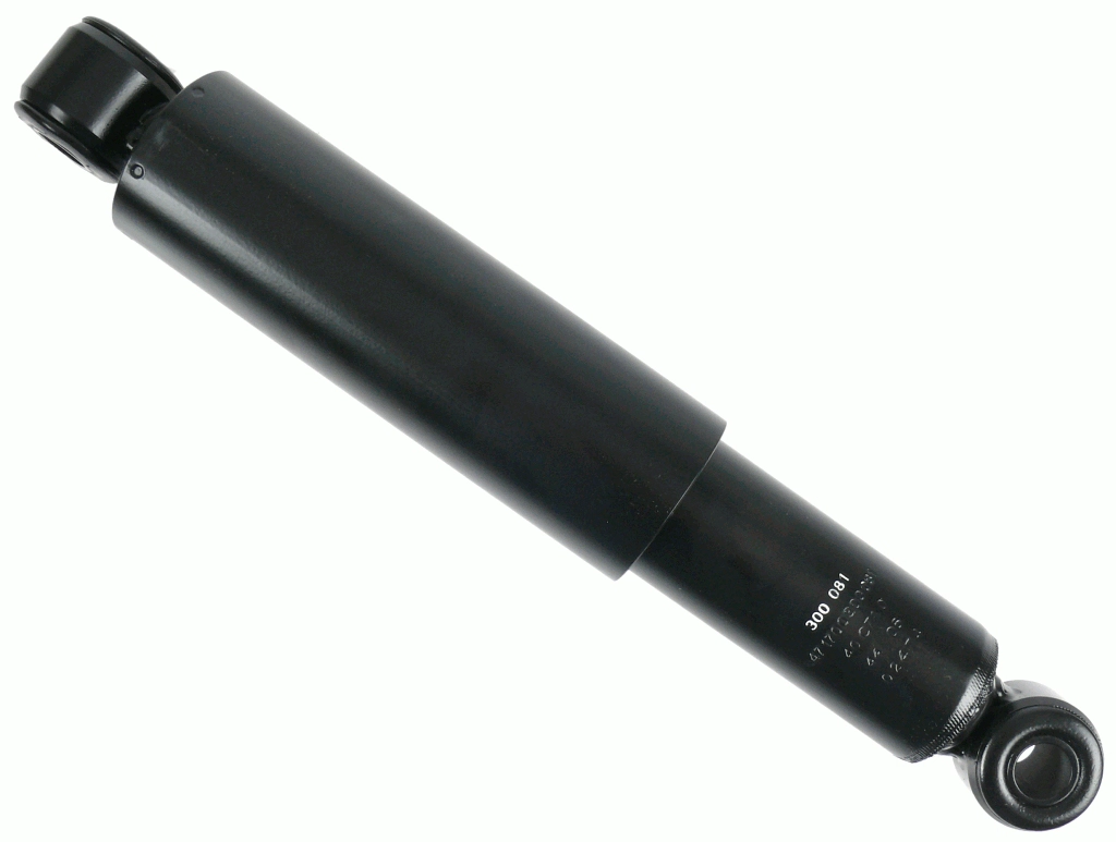 300 081